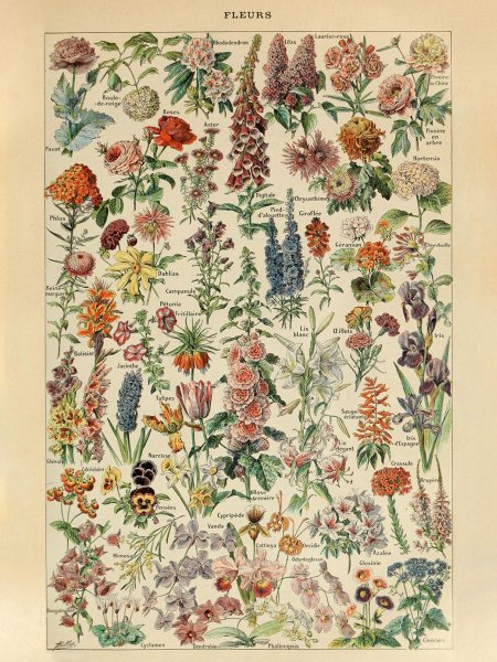 Адольф Милло Ларусс плакат