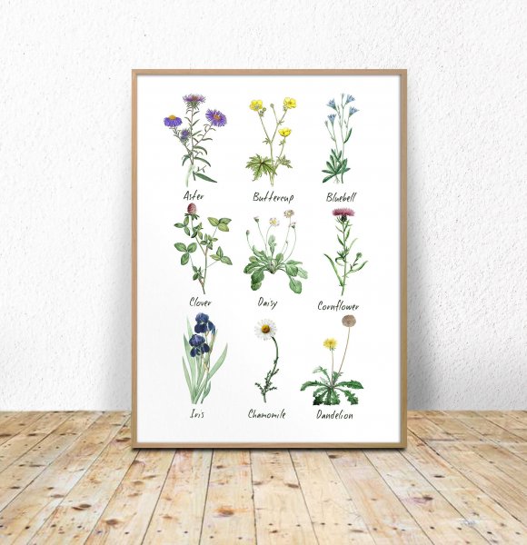 Ботанические постеры для печати