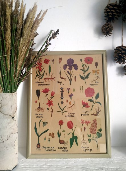 Старинные Ботанические иллюстрации