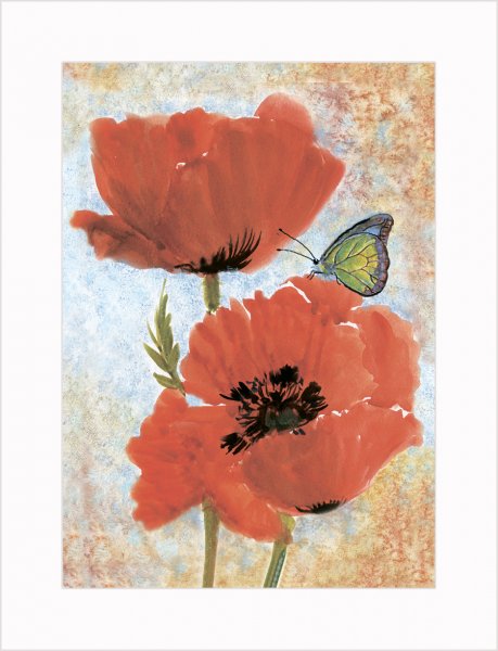 Набор постеров 30х40