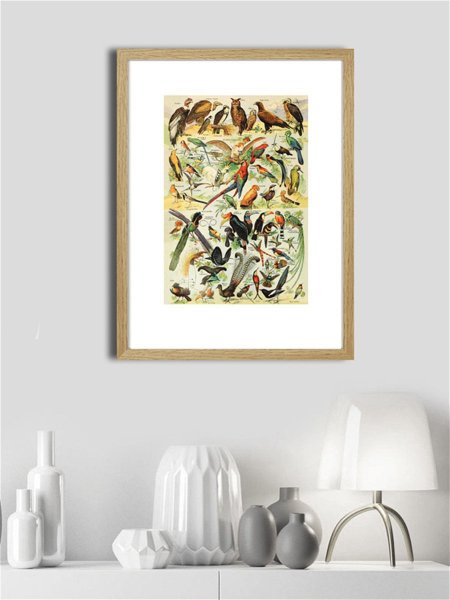 Постер поп-арт Кактус 30х40