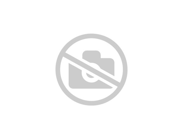 Nn-df383bzpe (инверторная)