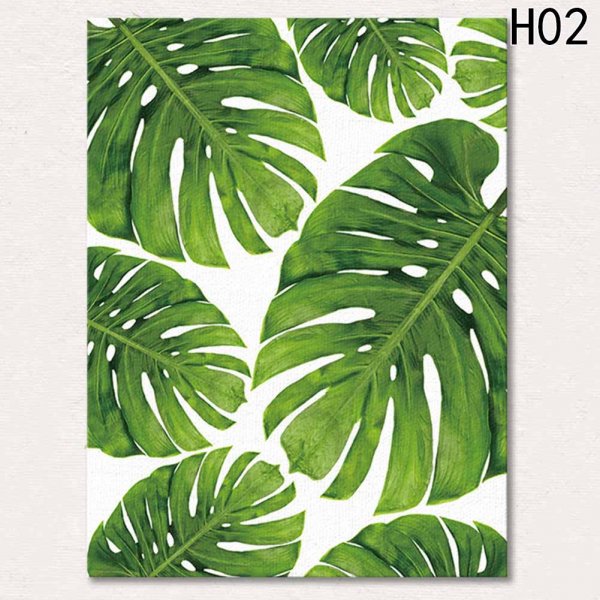 Монстера и папоротник