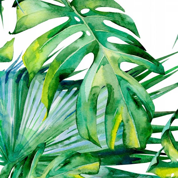 Зеленые тропические листья акварель