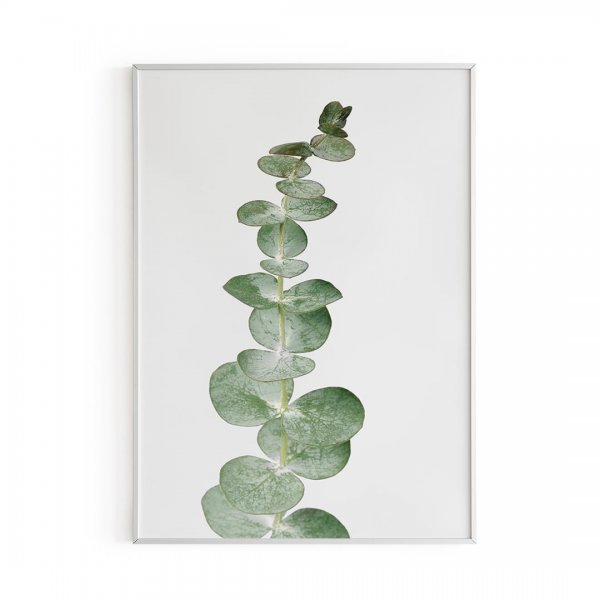 Постеры зелень на белом фоне