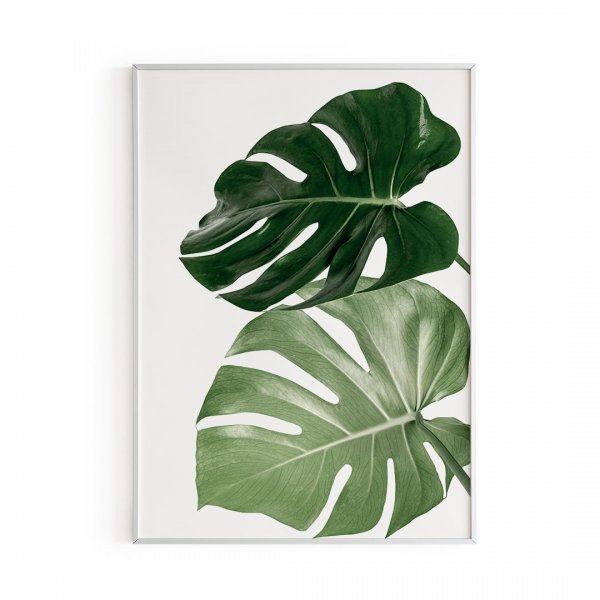 Постер зелень для распечатки