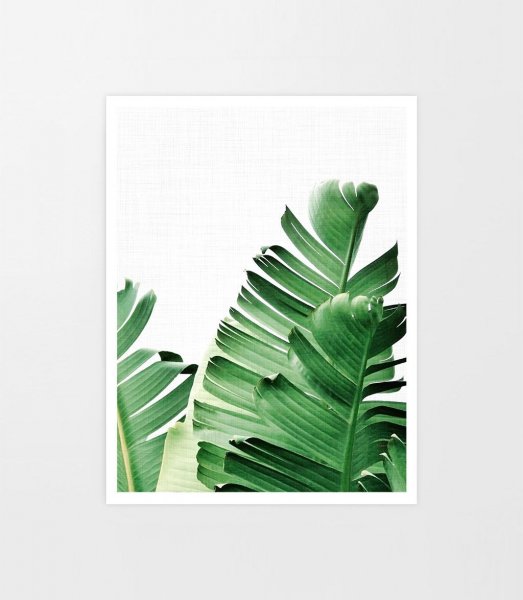 Постер тропические листья