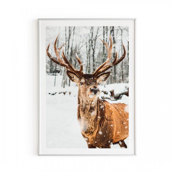 Постер 1615 "олени" 80х60 см