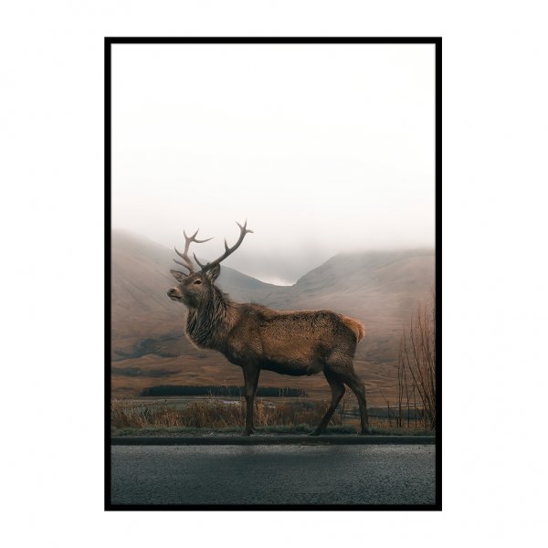 Северный олень Постер