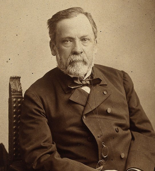 Луи Пастер (1822-1895)