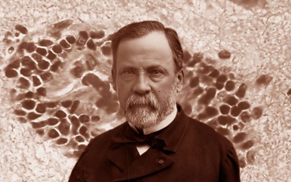 Ученый Луи Пастер