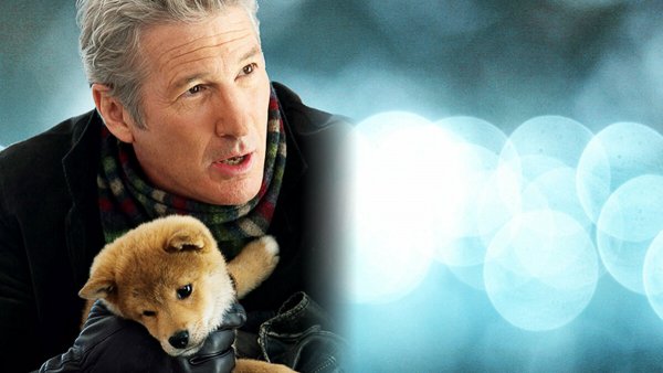 Хатико самый верный друг