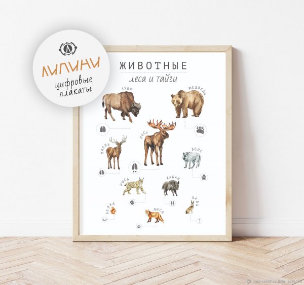 Постеры в детскую комнату животные