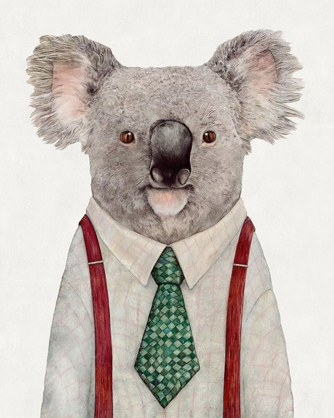 Мир животных плакаты на доску