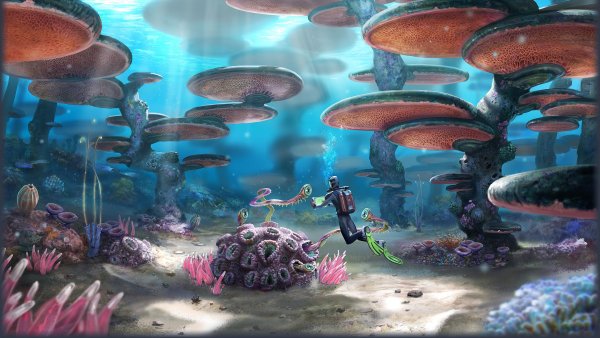 Великий риф Subnautica