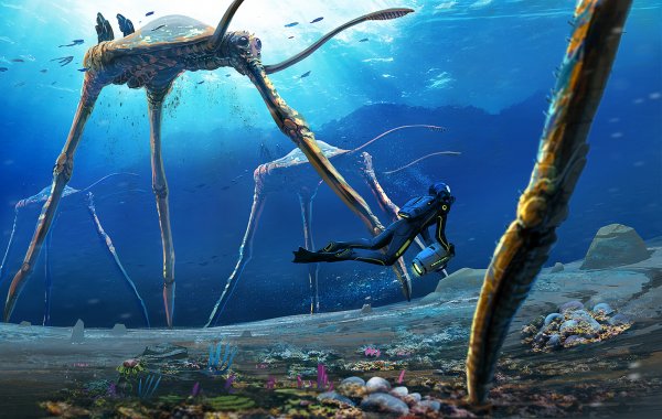 Топтуны сабнатика