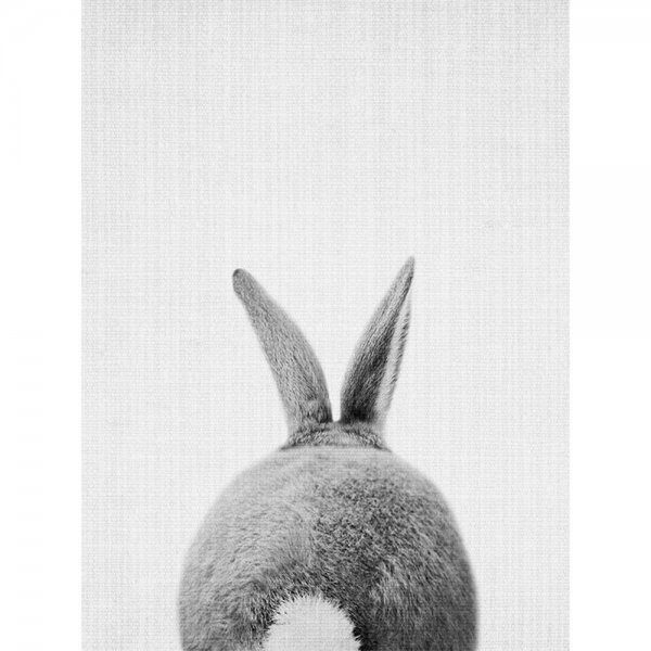 Постер заяц