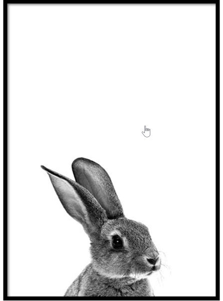 Постер кролик