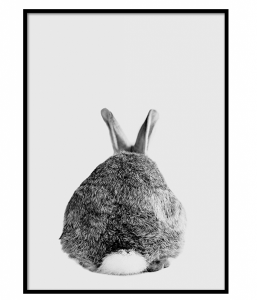 Кролик сзади