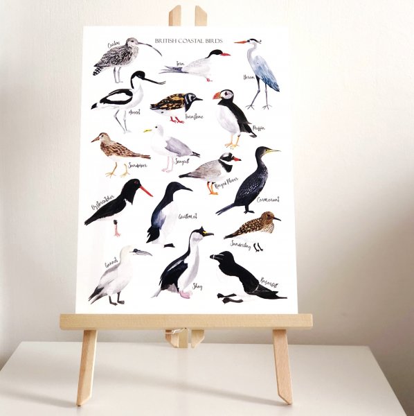 Иллюстрации птички Etsy