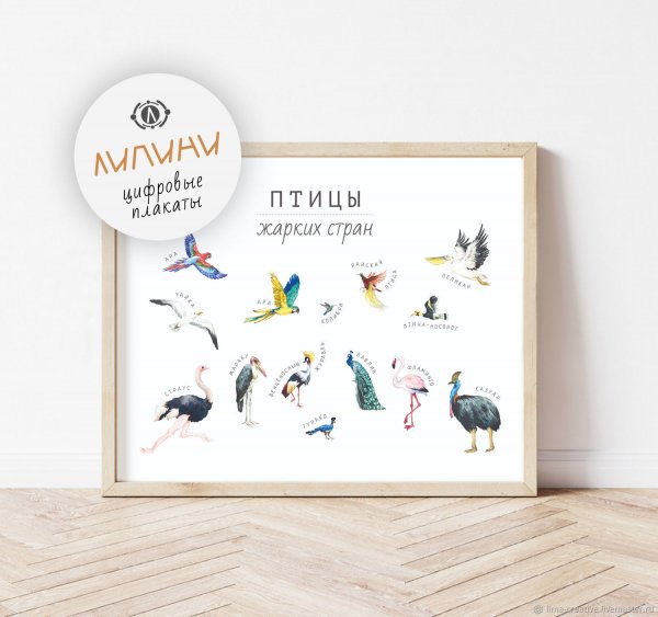 Постер птицы 60х90 в рамке