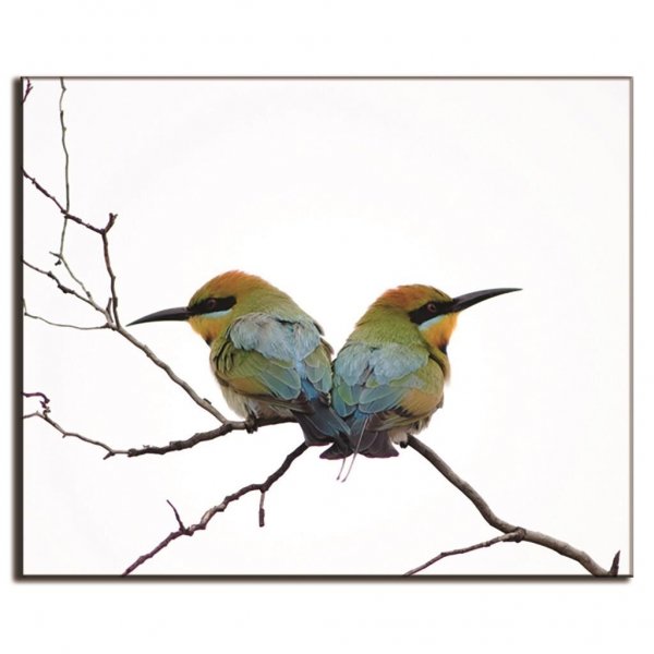 Картина с птичками в раме