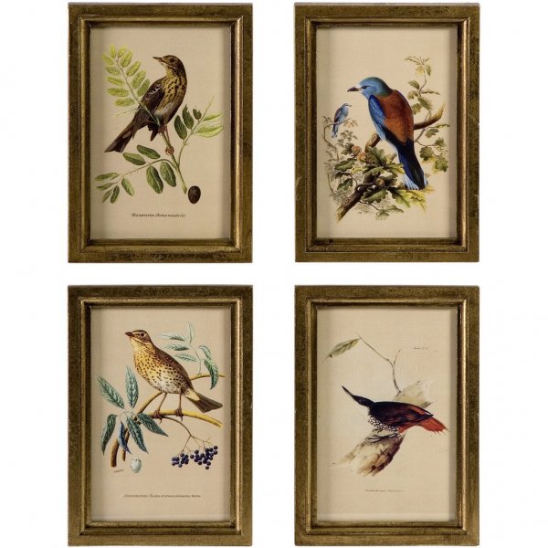 Стилизованный плакат птиц