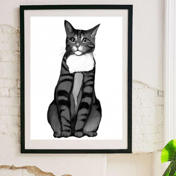 Черный кот плакат