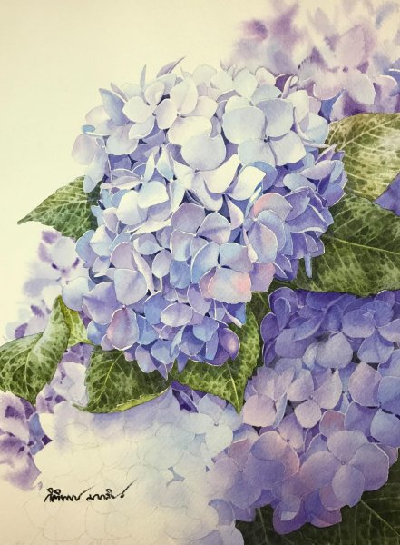 Гортензия Бриггс