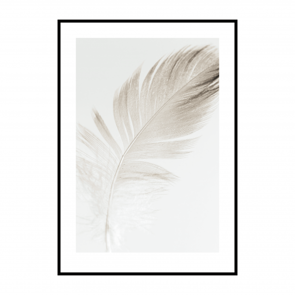 Постеры с перьями в интерьере