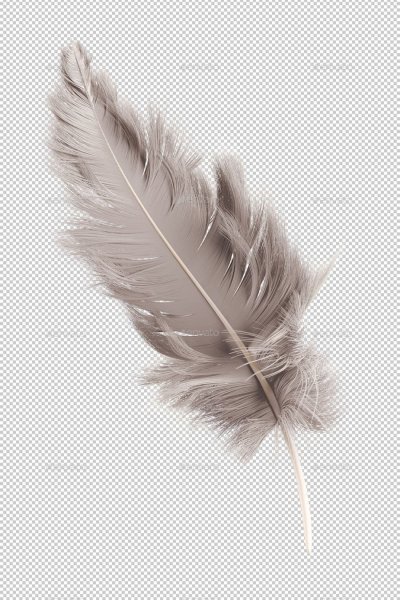 Перья в скандинавском стиле