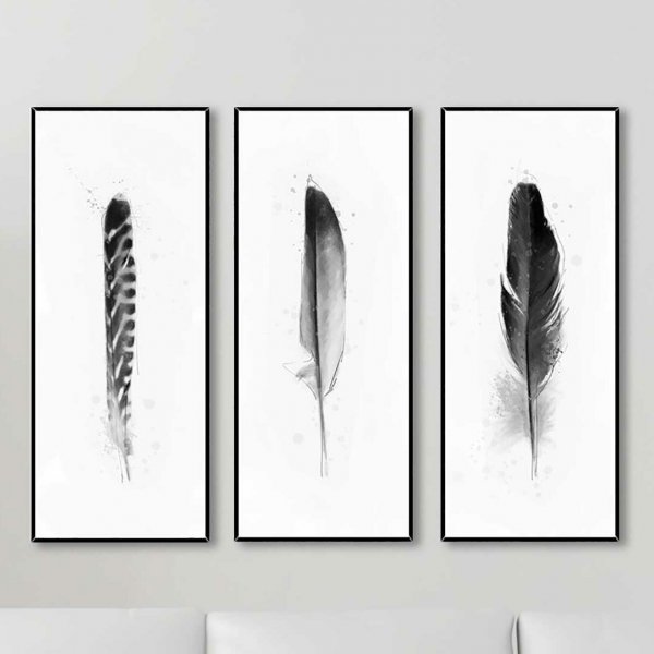 Постеры перья на стену
