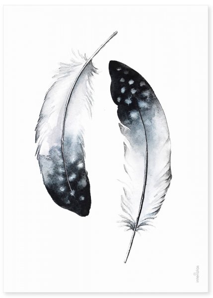 Серые перья