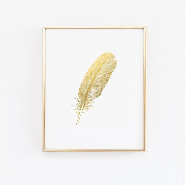 Перо птицы стилизация