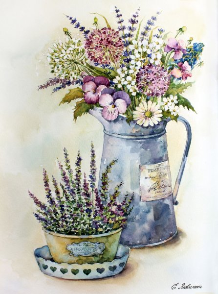 Елена Вавилина Лаванда