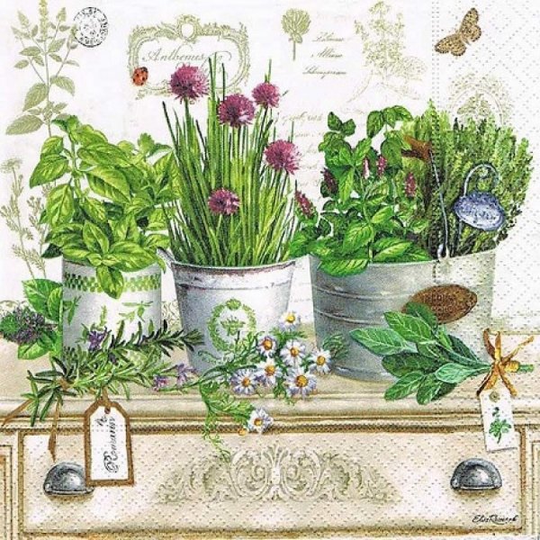 Jardin Botanique горшок