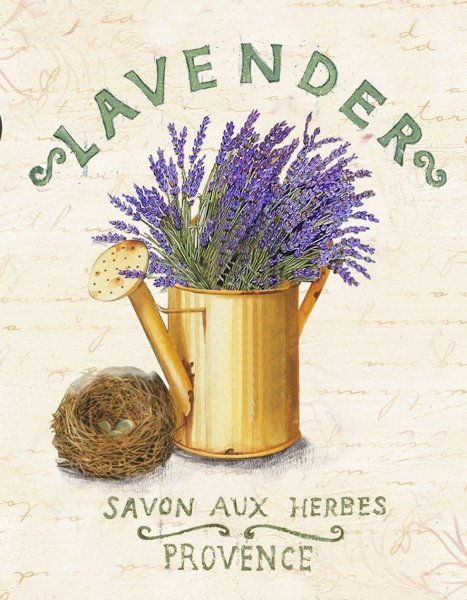 Постеры Прованс