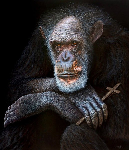 Постер обезьяна