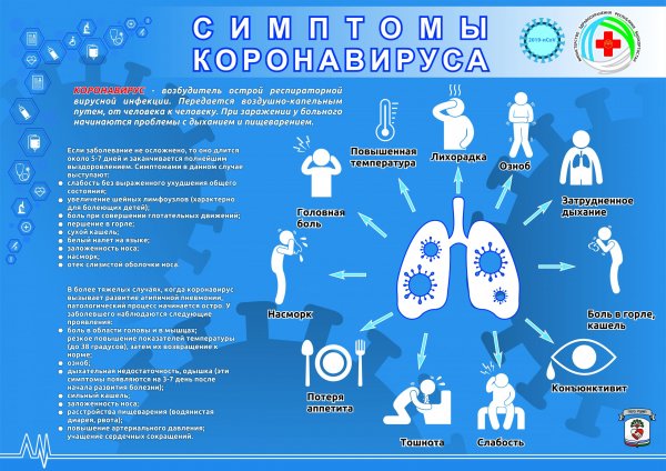 Рекомендации по профилактике