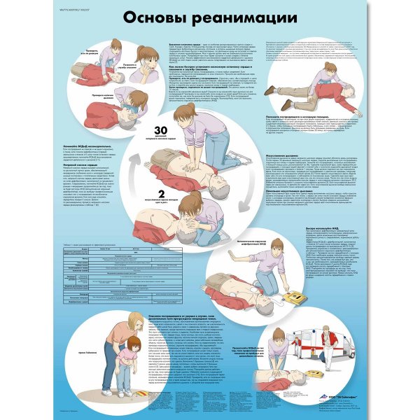 Плакат основы реанимации
