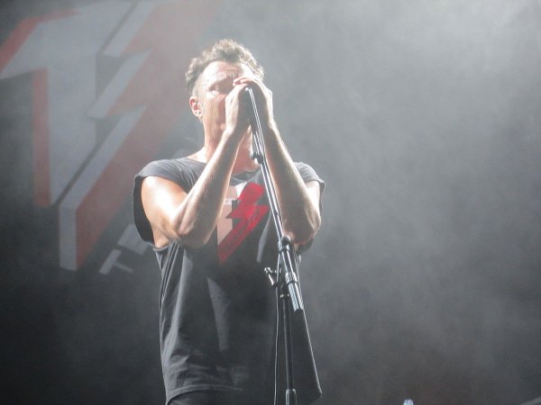 Кот Борзыкина