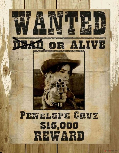 Wanted разыскивается