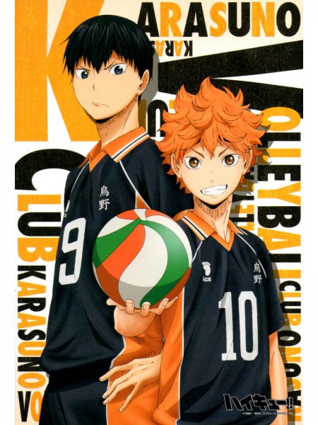 Карасуно волейбол Хината