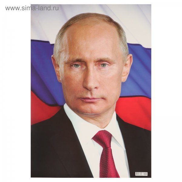 Путин Владимир Владимирович портрет