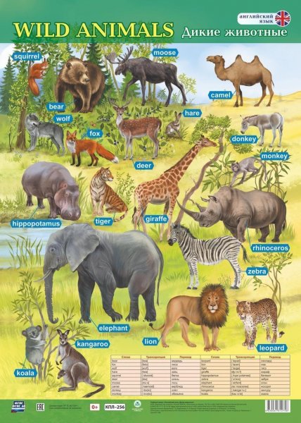 Плакат "Дикие животные"