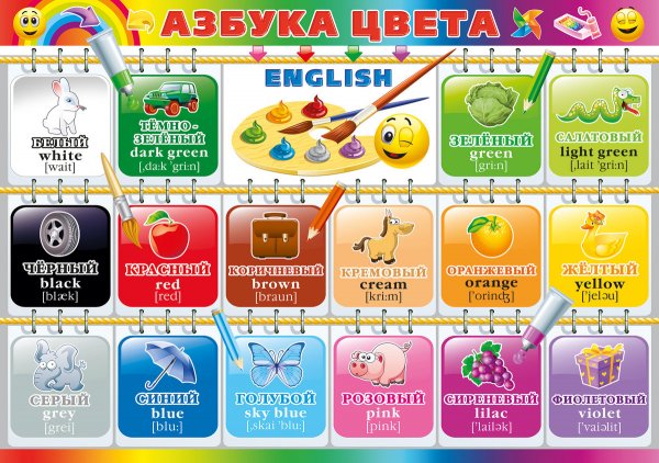 Азбука цвета плакат для детей