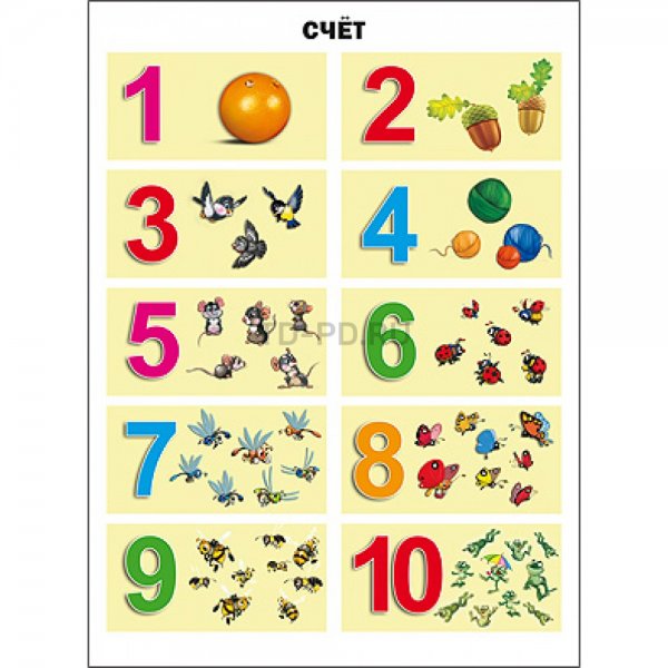 Цифры и счет