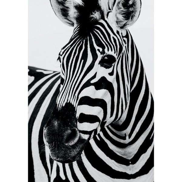 Черно белые картины