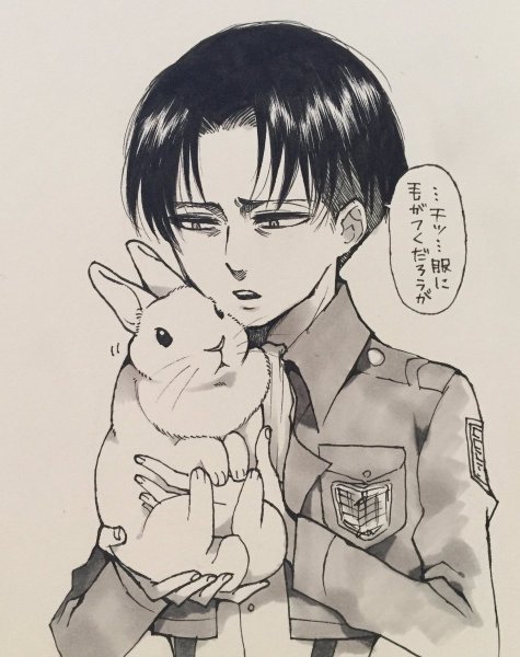 Леви Аккерман и Жан