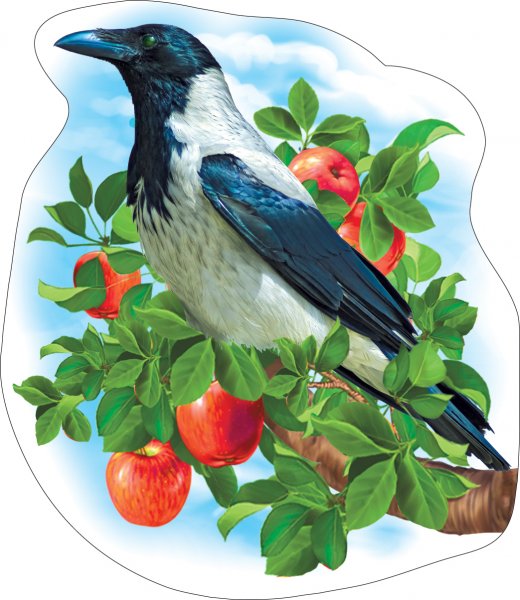 Вырубные плакаты